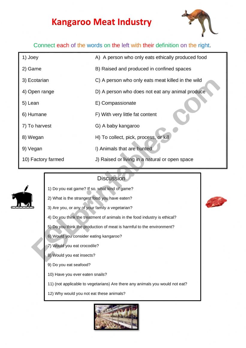 Kangaroo Meat worksheet