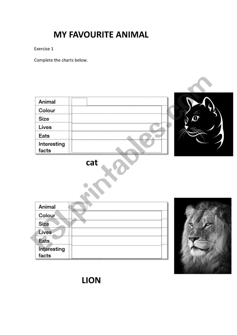 Describe an animal worksheet