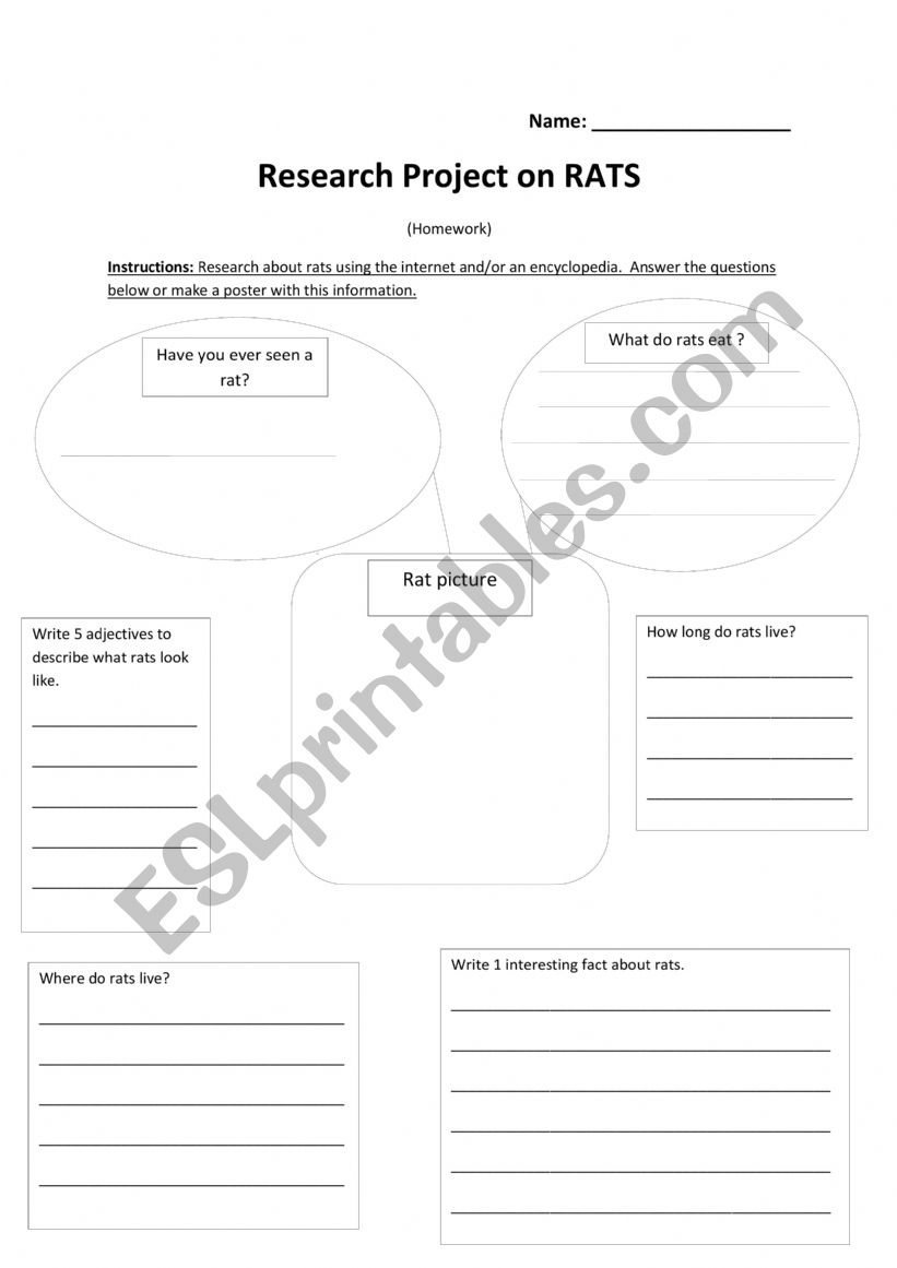 Rat research worksheet