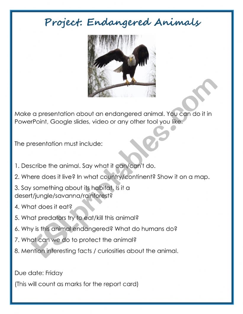 Endangered Animals project worksheet