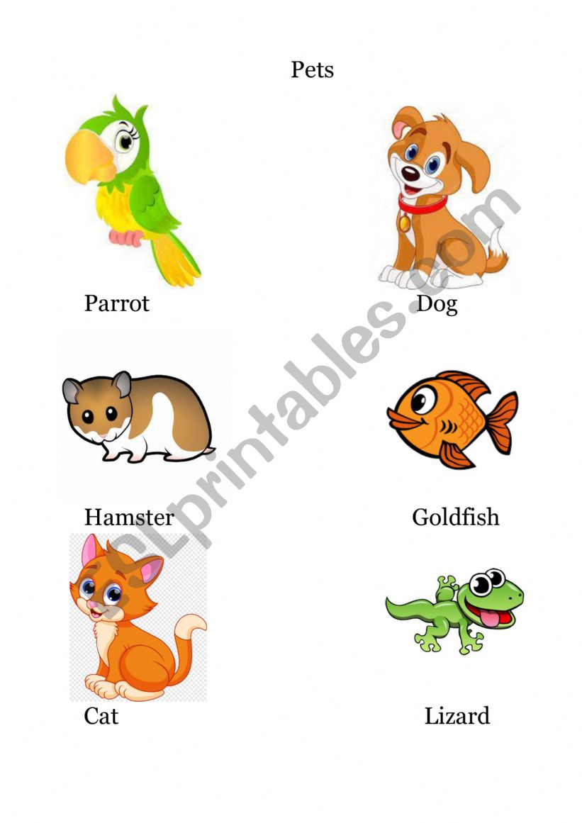 Six household pets worksheet