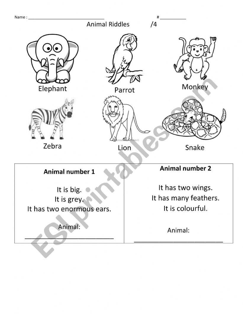 Animal Riddles worksheet