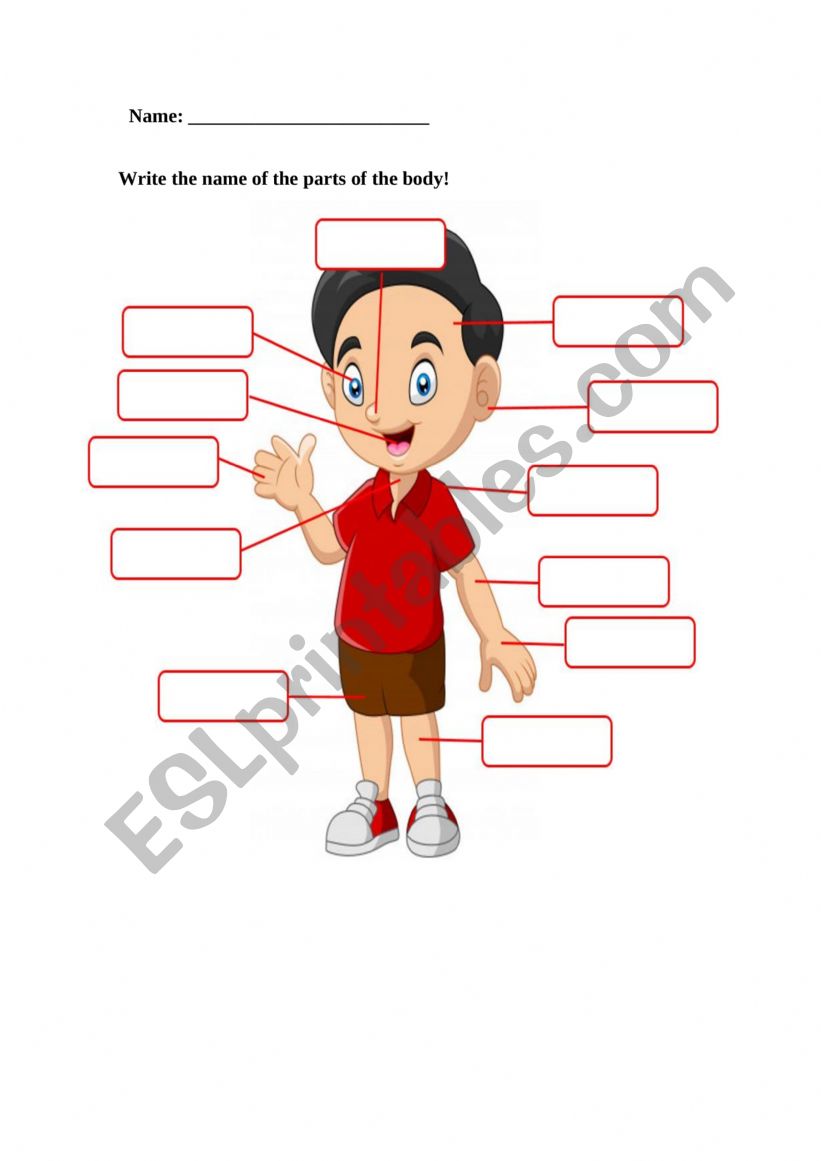 Parts of the body worksheet