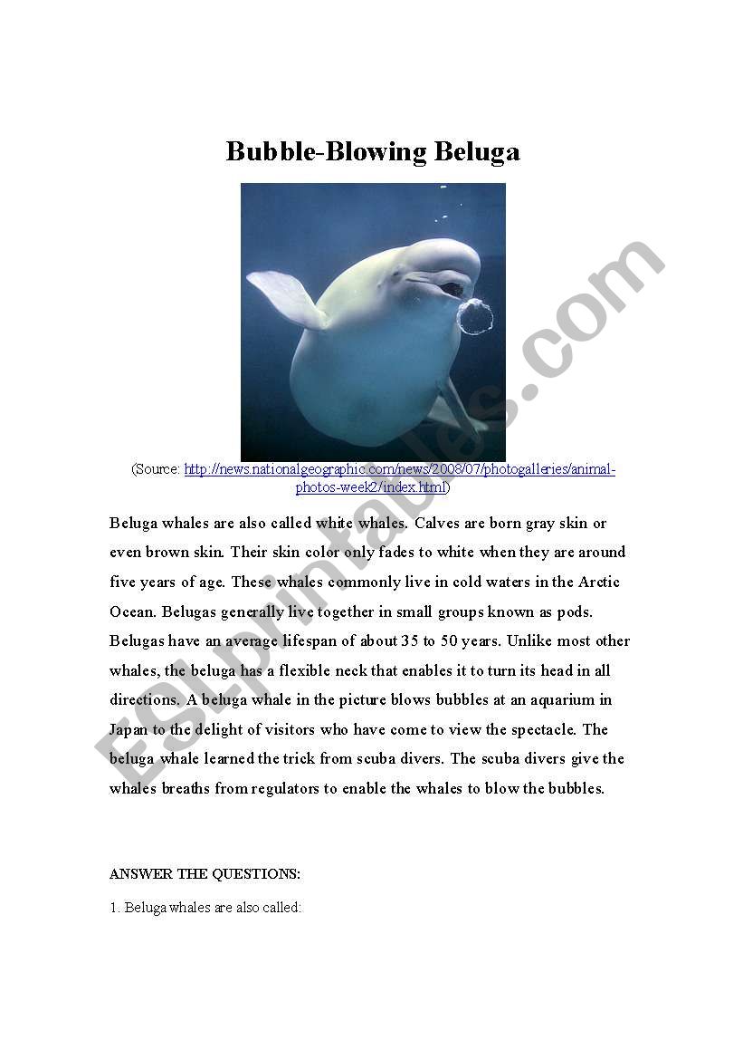 Bubble-Blowing Beluga worksheet