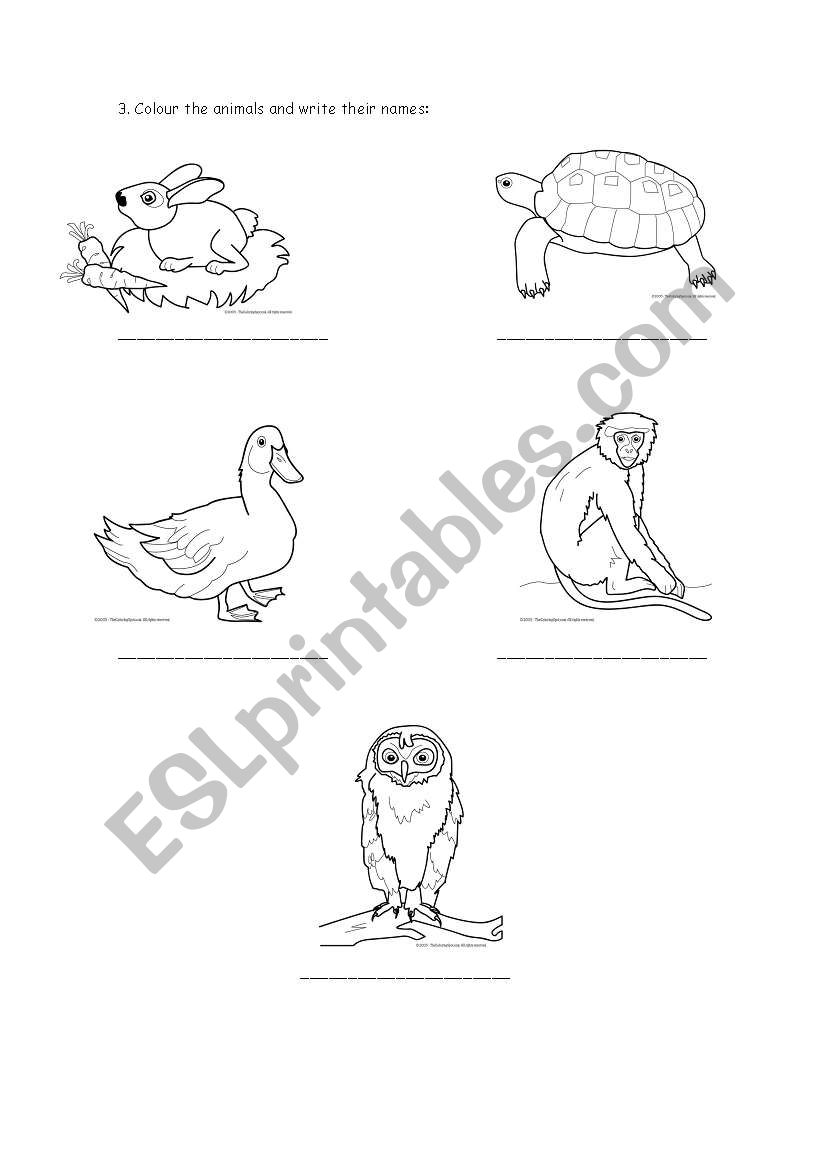 Animals worksheet