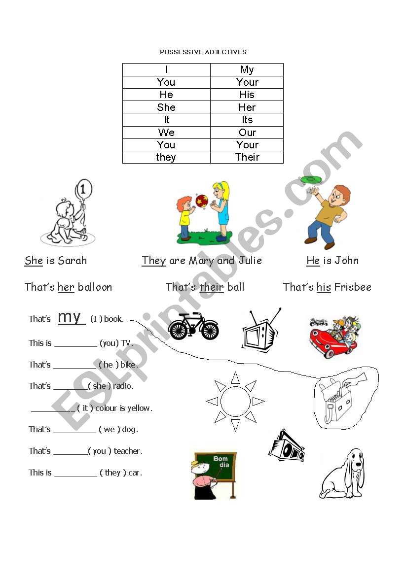 Possessive Adjectives worksheet