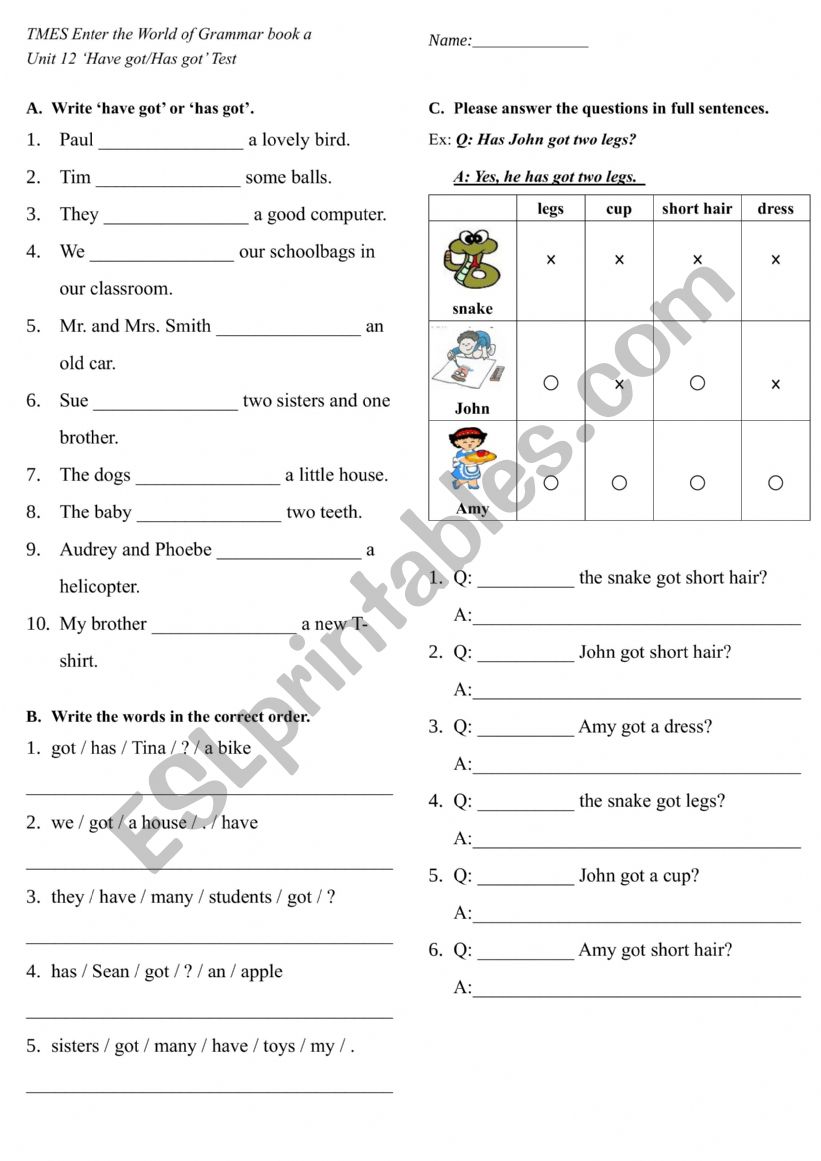 Have got / Has got test  worksheet