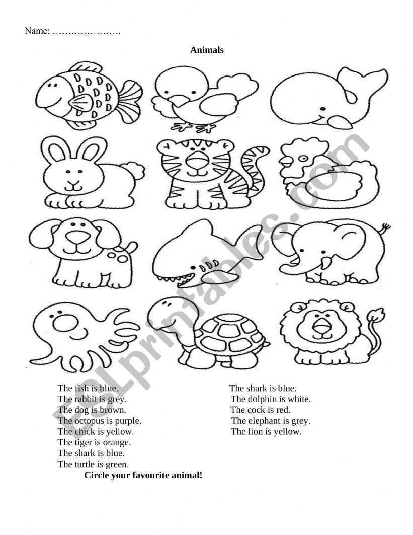 Animals  worksheet