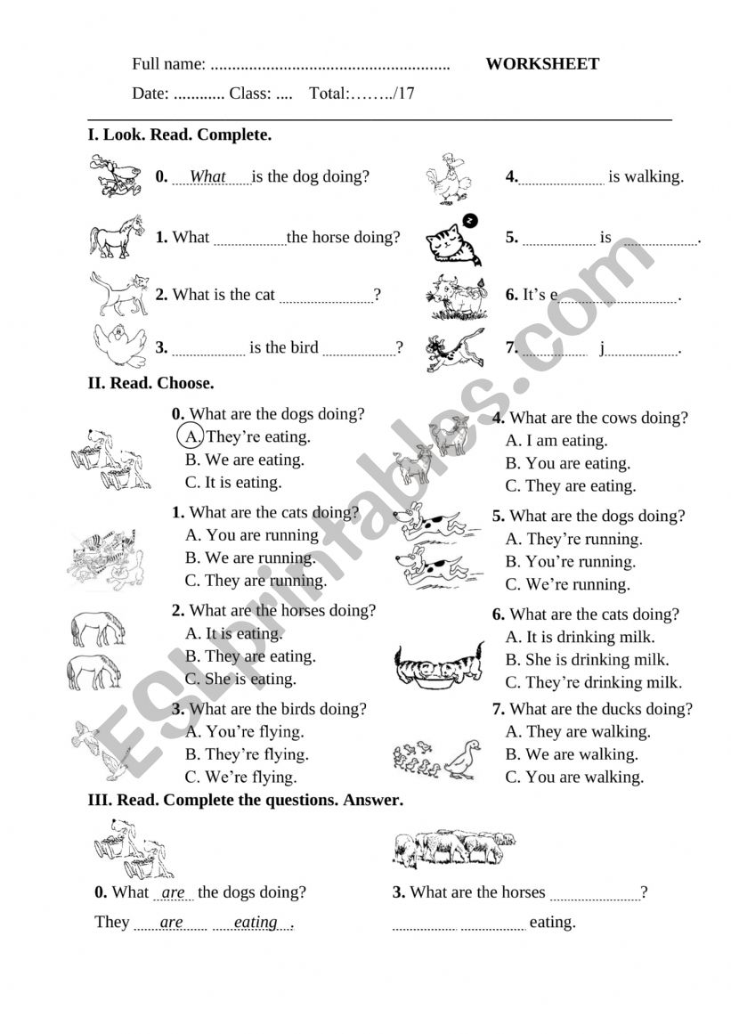 WS worksheet