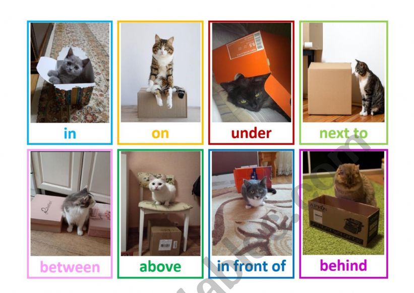 Prepositions of the place flashcards