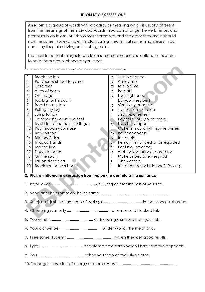 Idiomatic Expressions worksheet