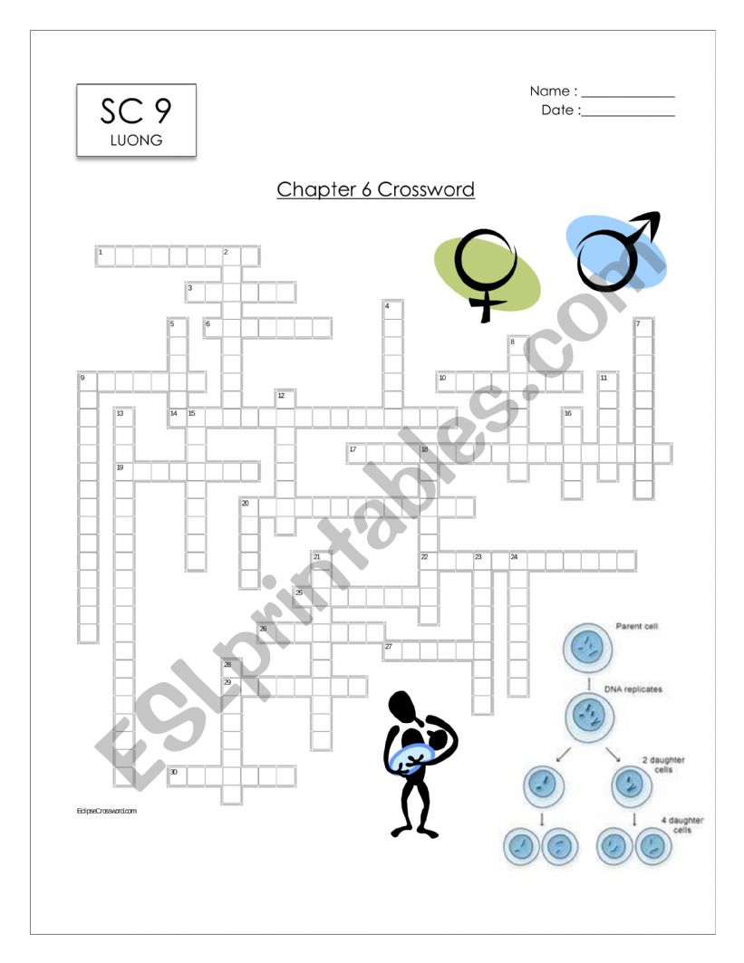 Chapter 5 Crossword worksheet