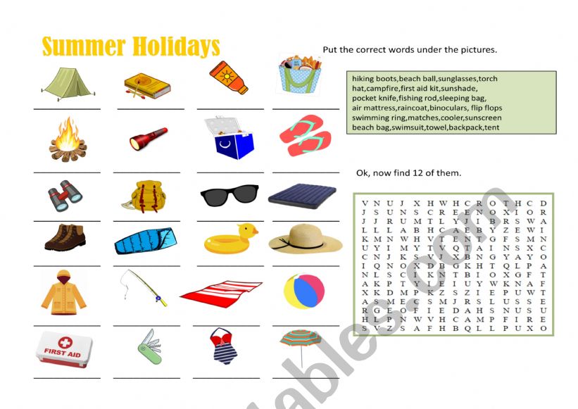 Summer Worksheet worksheet