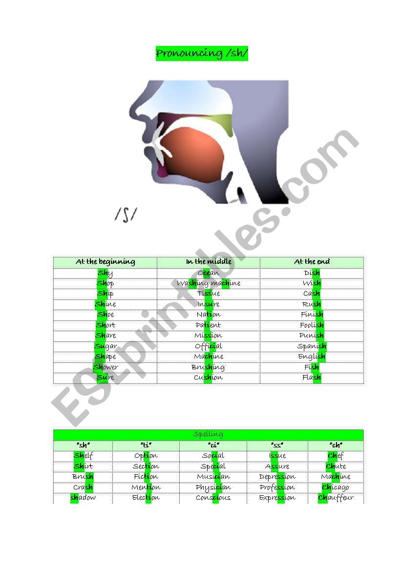 Pronouncing /sh/ worksheet