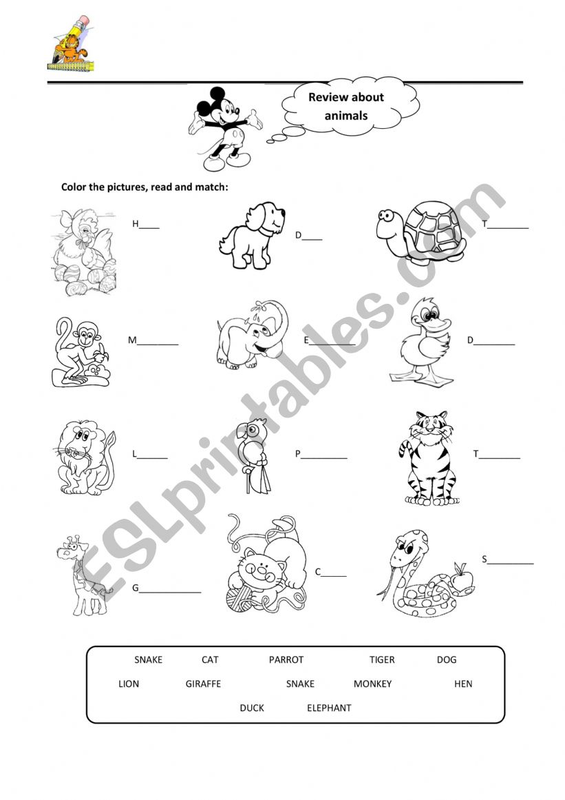 animals worksheet
