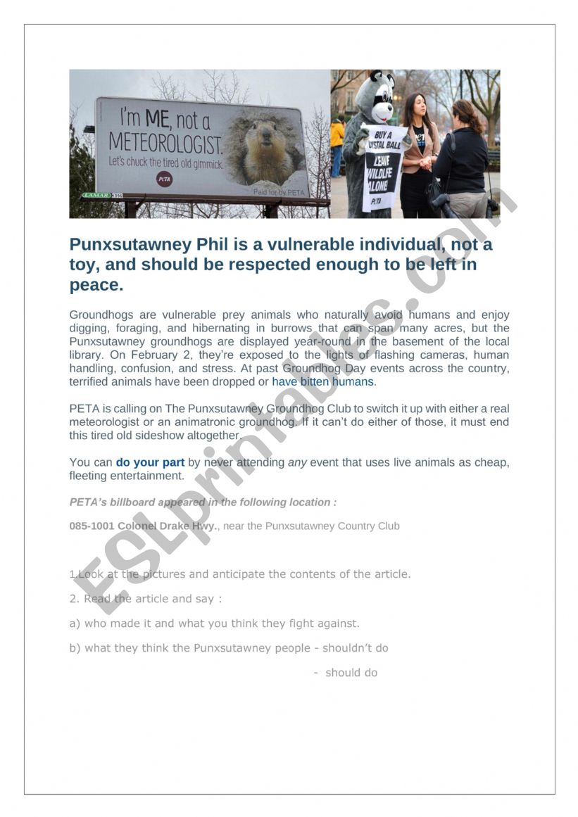 Groundhog Day , Punxsutawney Phil and PETA