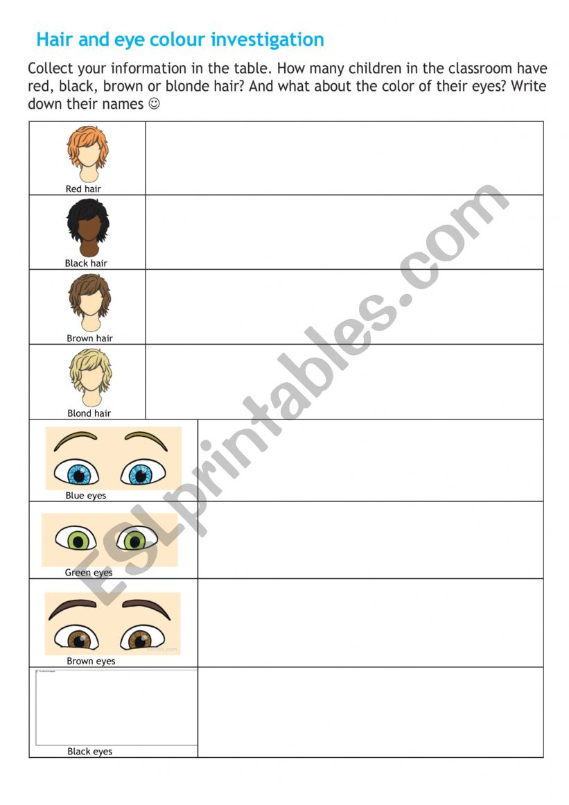 COLOUR HAIR WORKSHEET worksheet