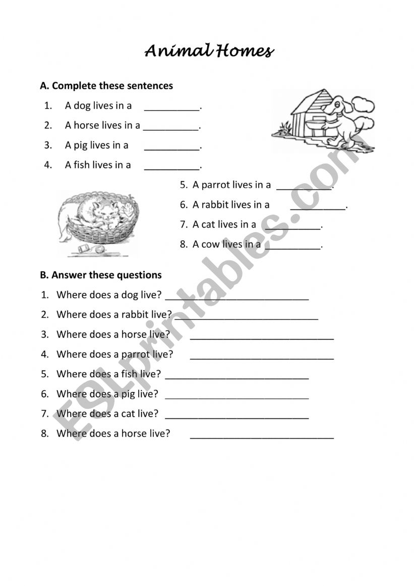 Animal Homes worksheet