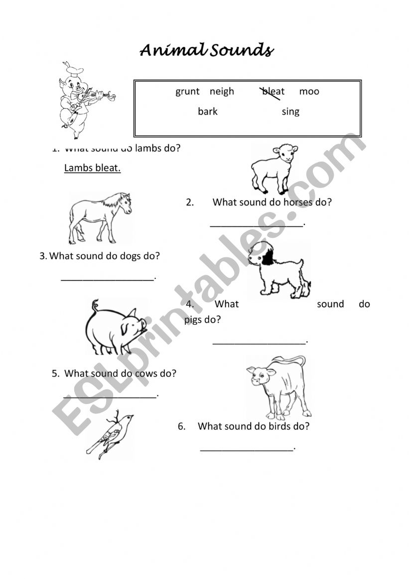 Animal Sounds worksheet