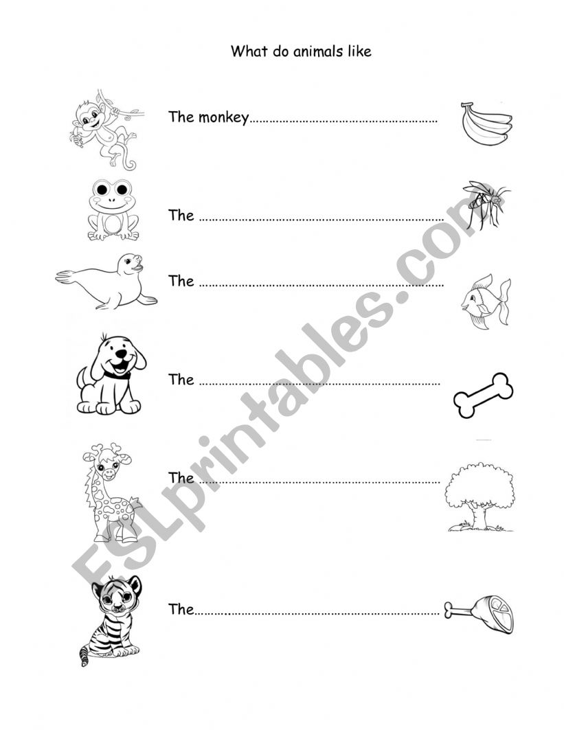 what do animals like worksheet