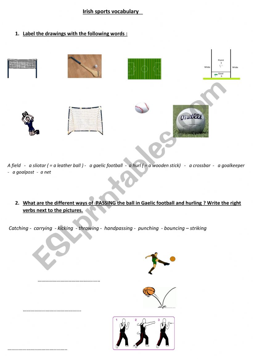 IRISH SPORTS VOCABULARY worksheet