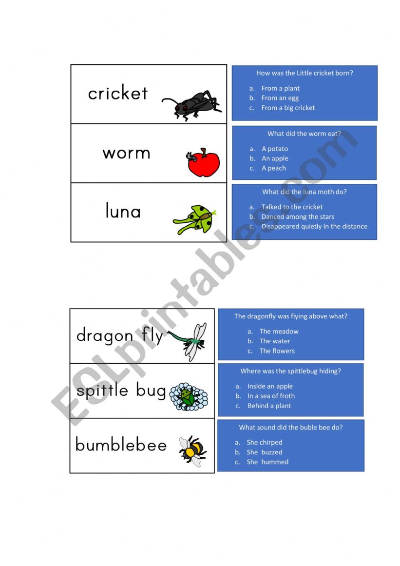 The Very Quiet Cricket Comprehension 