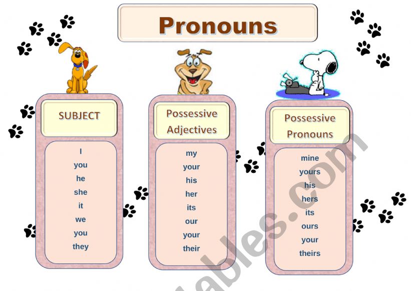 Subject Pronouns and Possessive Adjectives and Pronouns