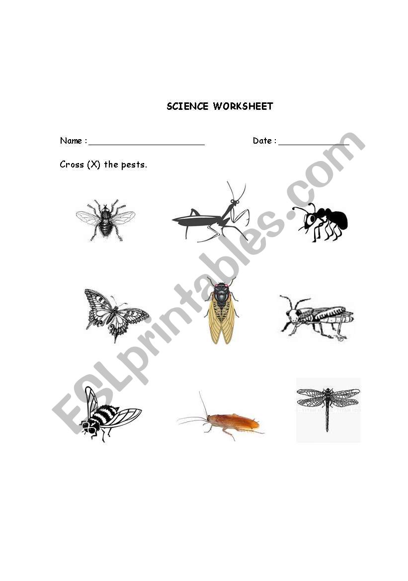 Cross the pests. worksheet
