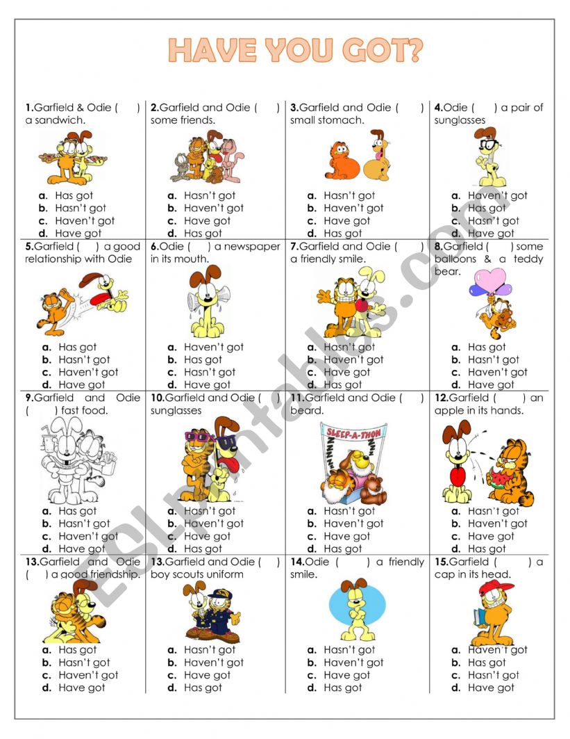 HAVE YOU GOT? worksheet