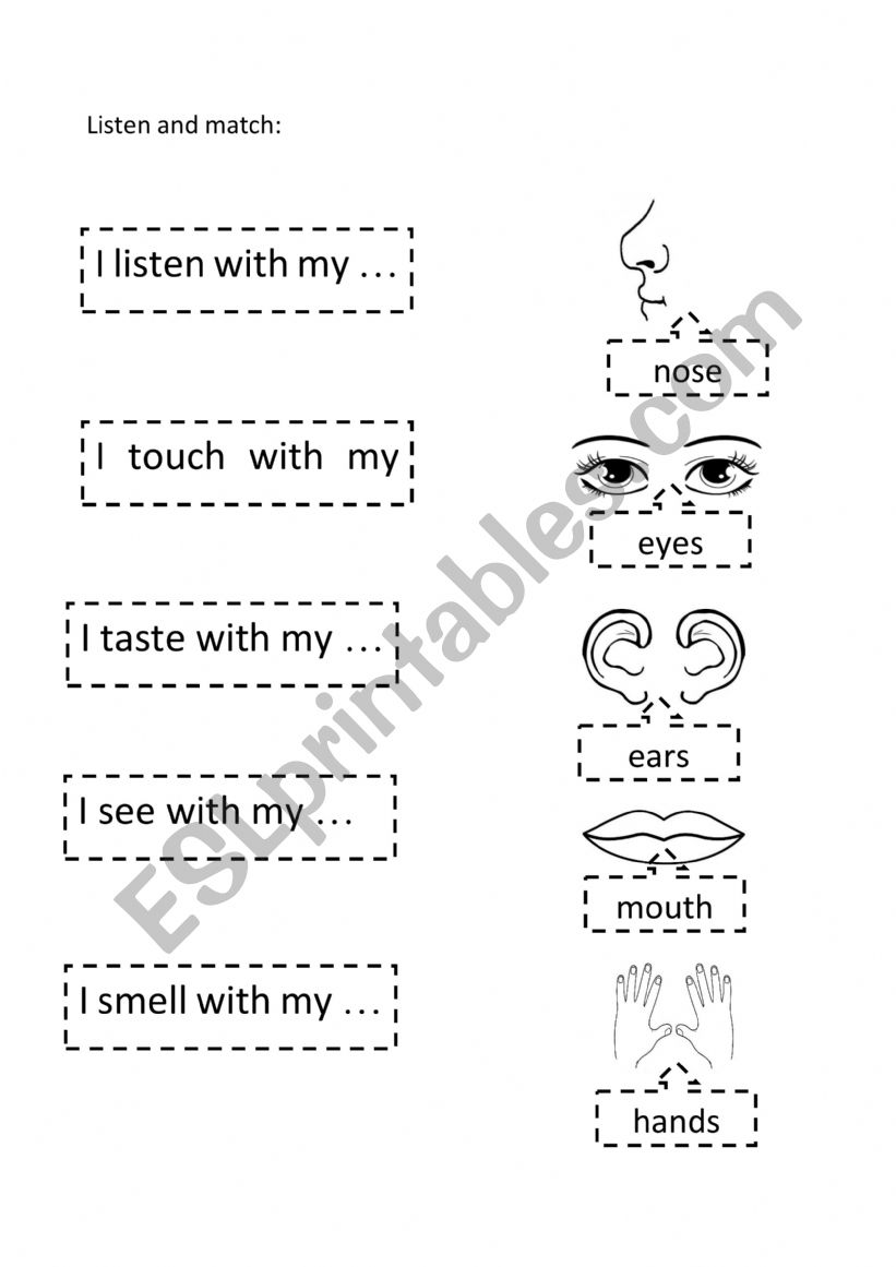Body parts worksheet