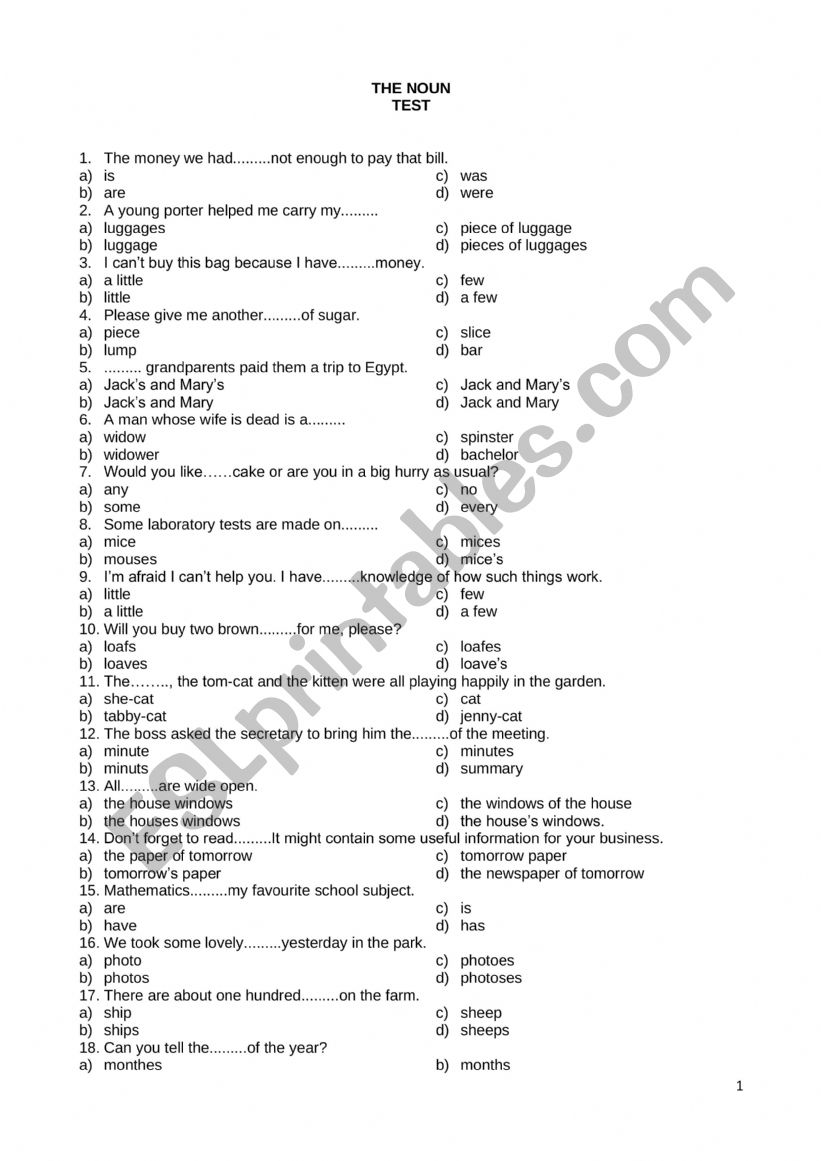 THE NOUN worksheet