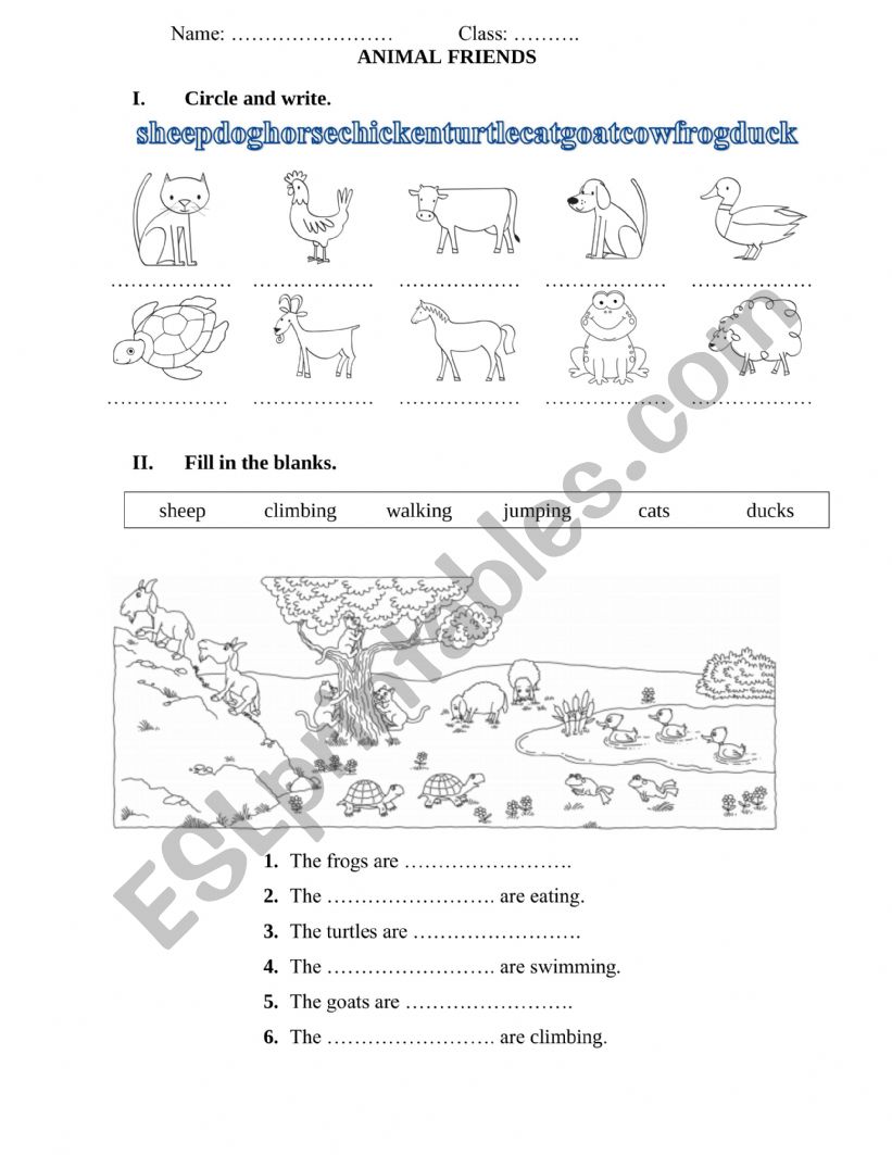 Animals worksheet