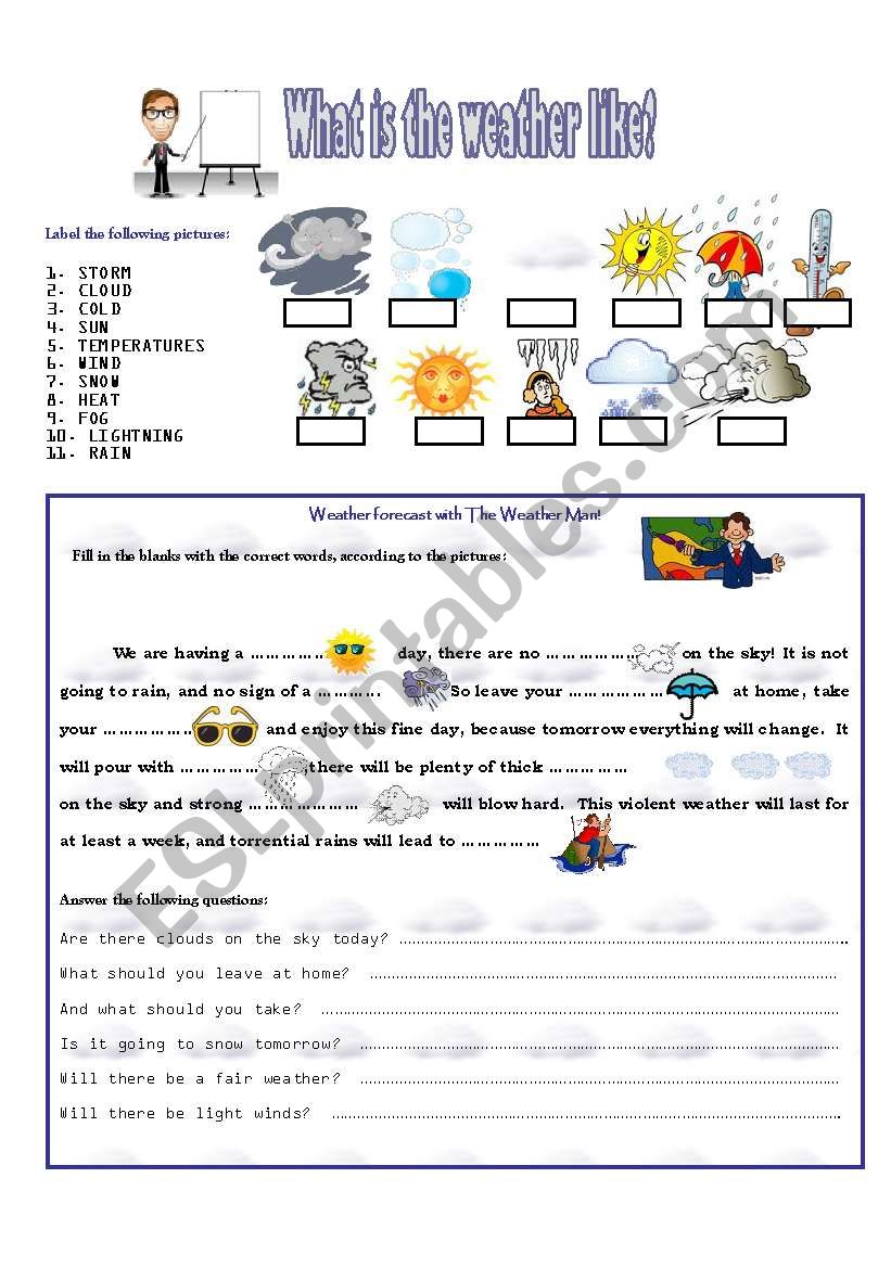 WHAT IS THE WEATHER LIKE? worksheet