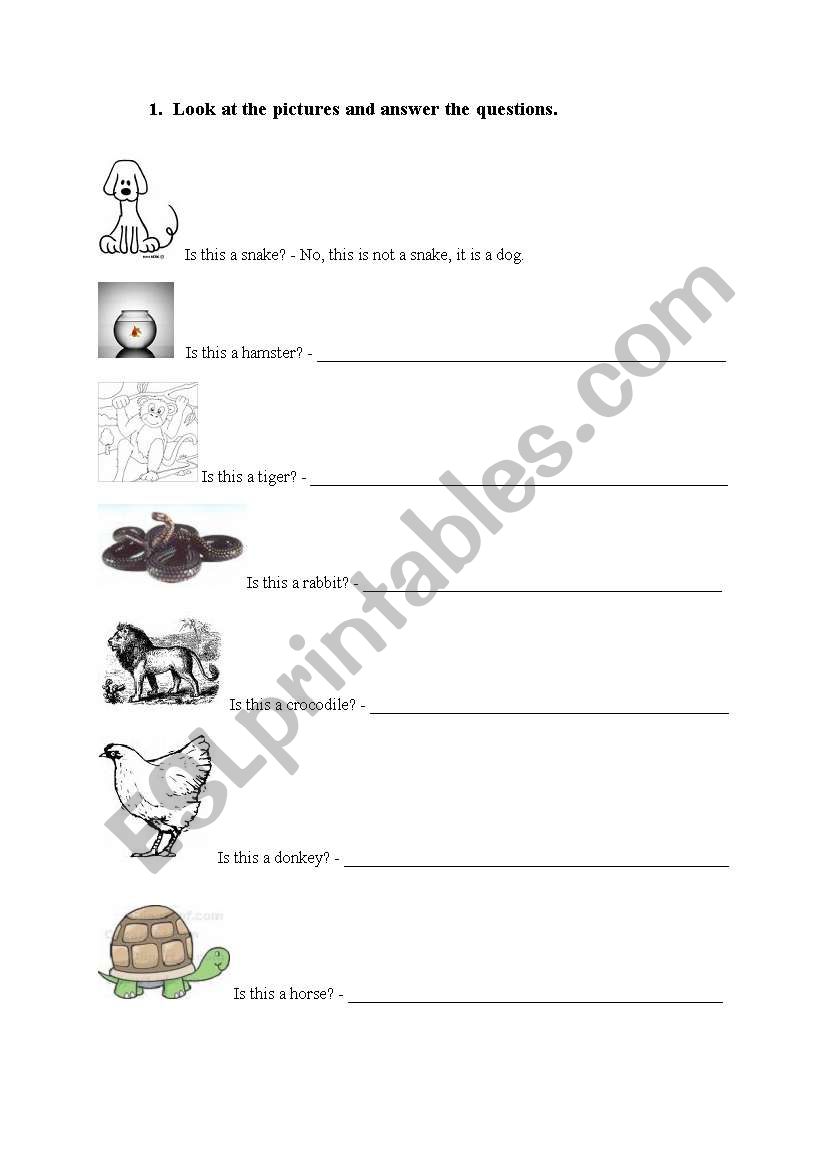 Animals worksheet