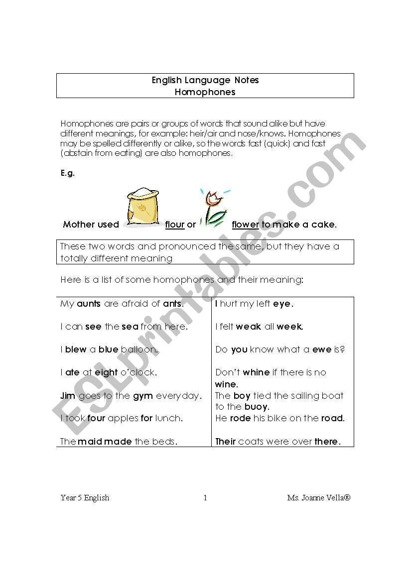 homophones worksheet