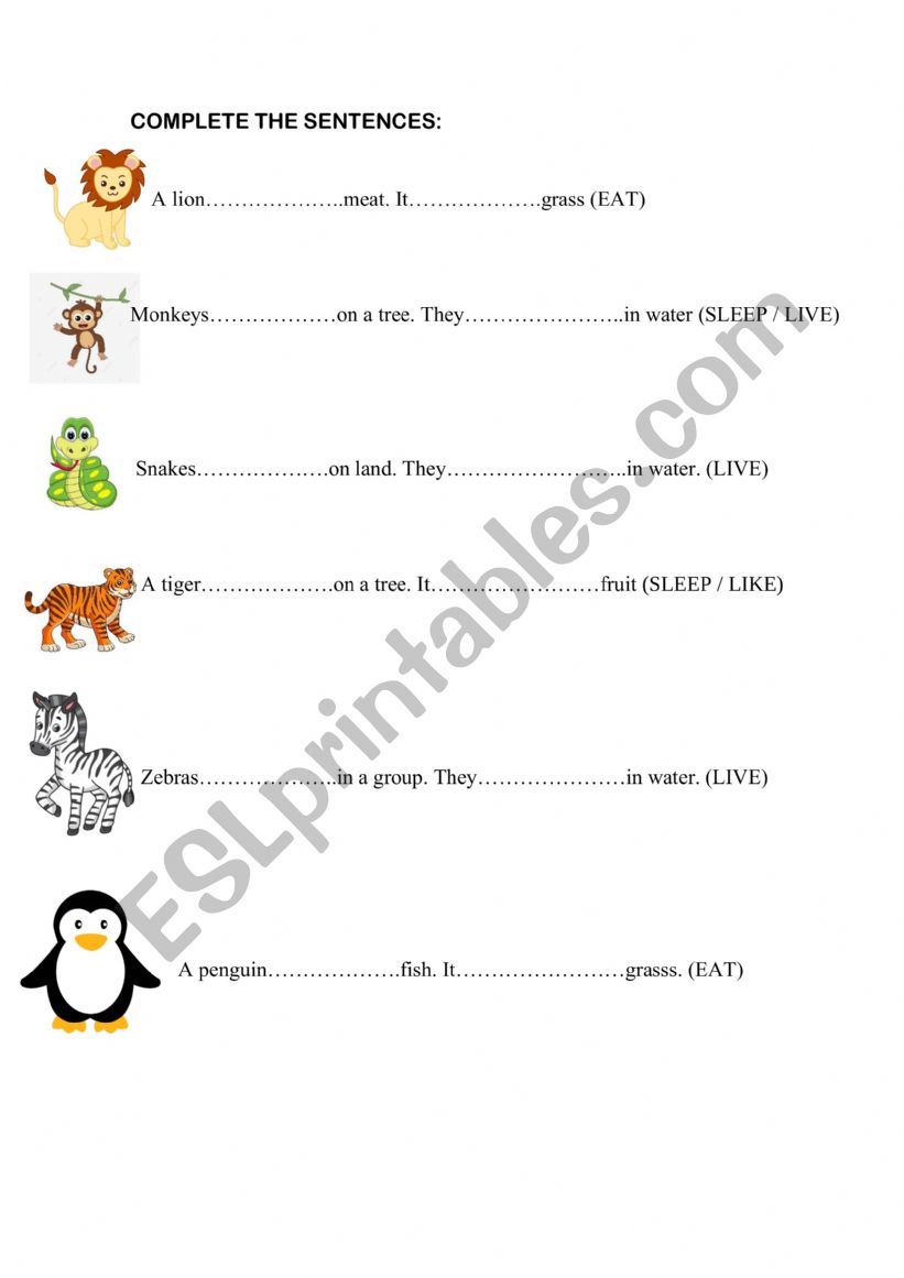 Animals worksheet