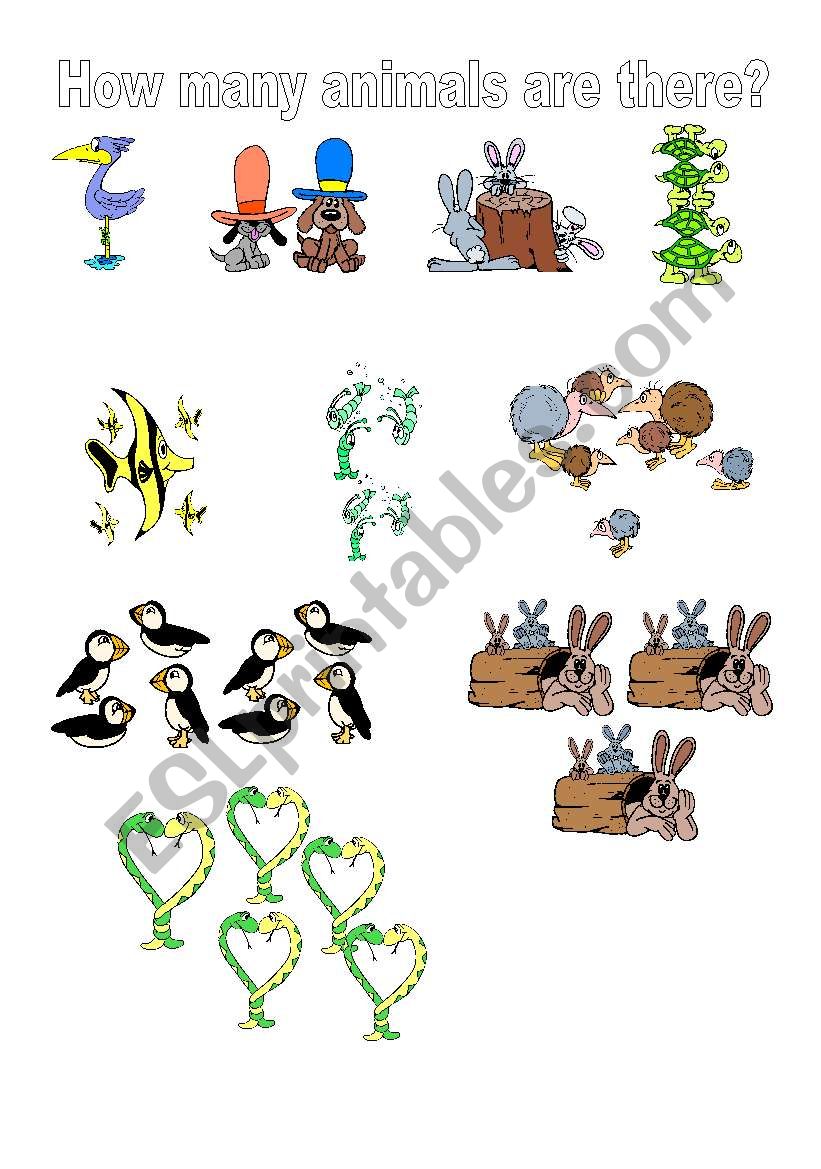 Animals and Numbers worksheet