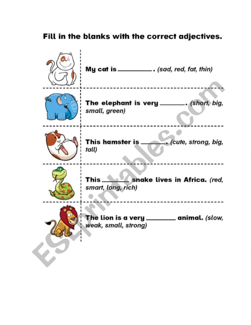 Adjectives worksheet worksheet