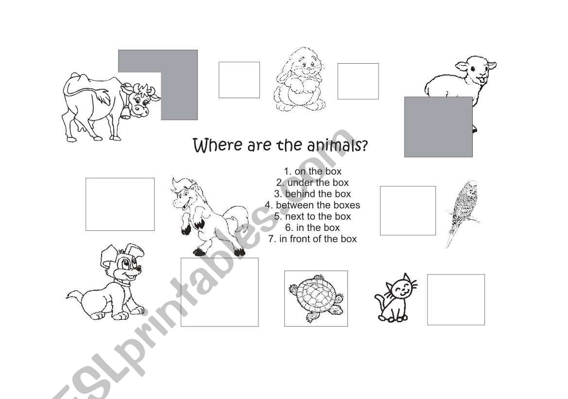 prepositions worksheet
