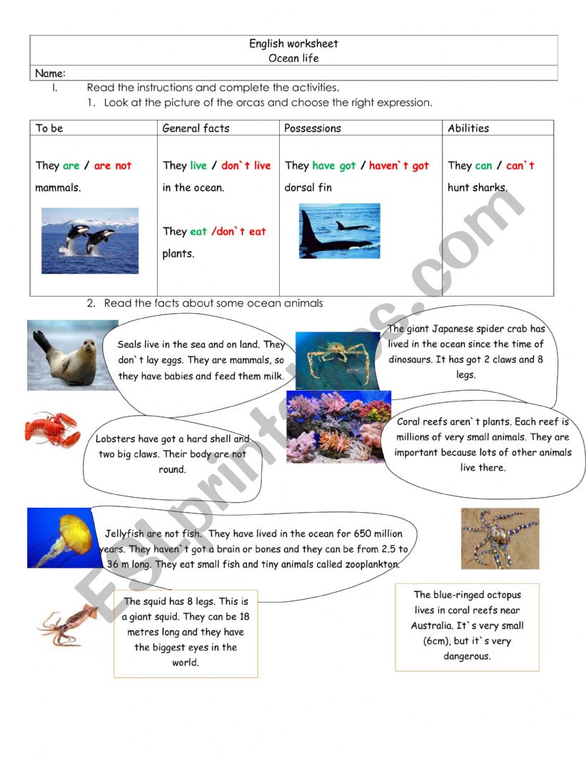 OCEAN LIFE worksheet