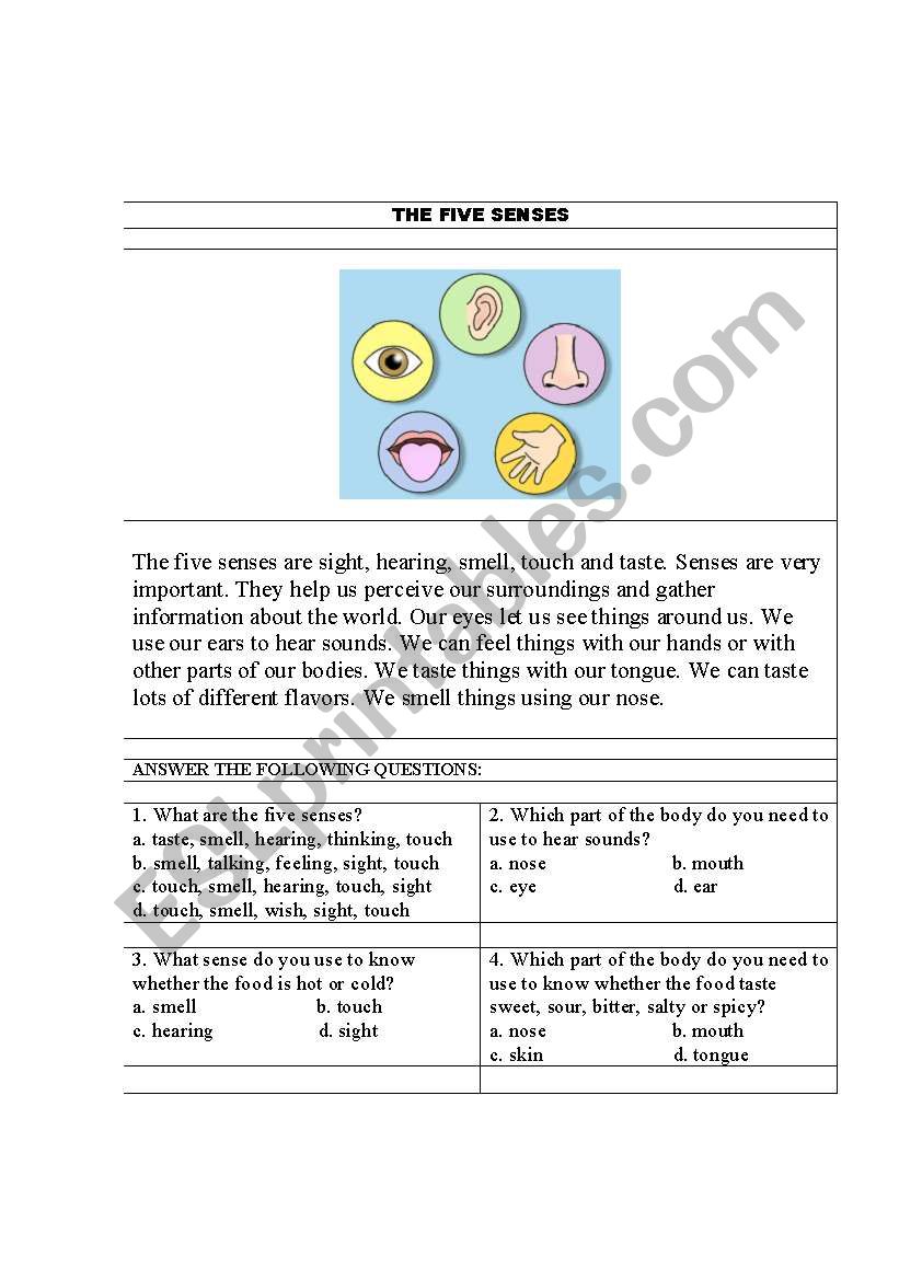 Five Senses worksheet