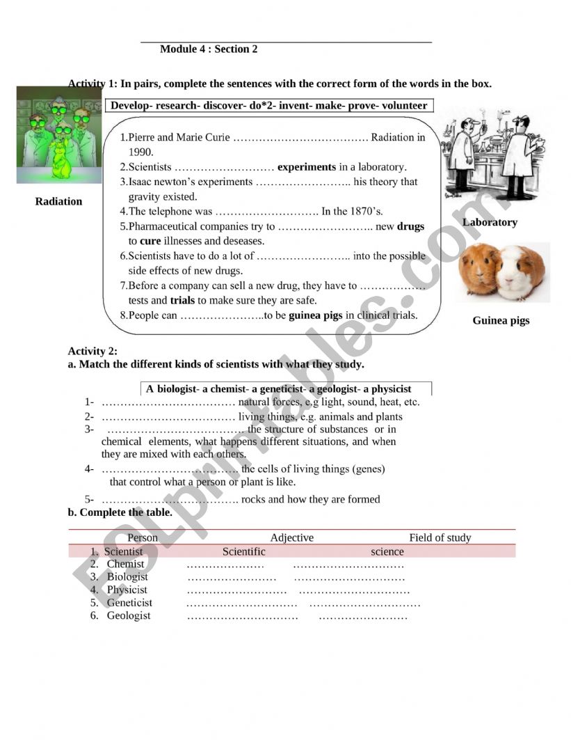 module 4 section 1 worksheet