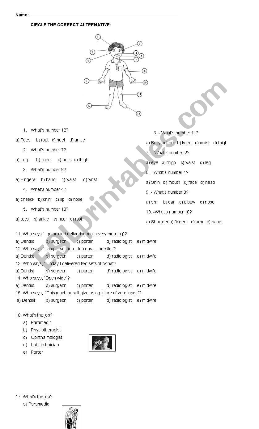 Health and body worksheet