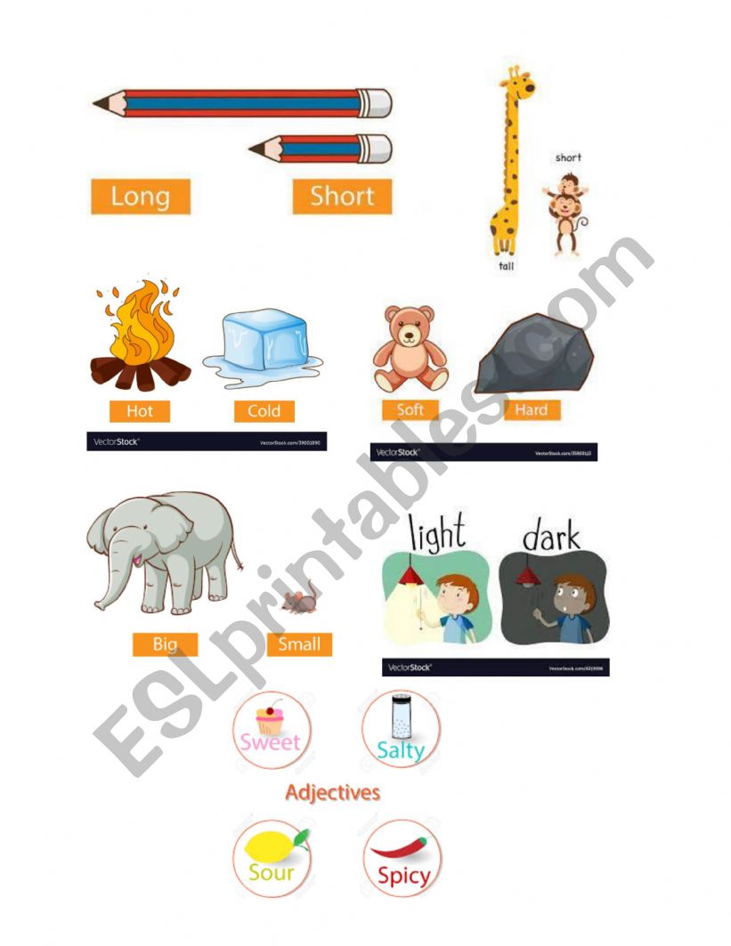 Adjectives  worksheet