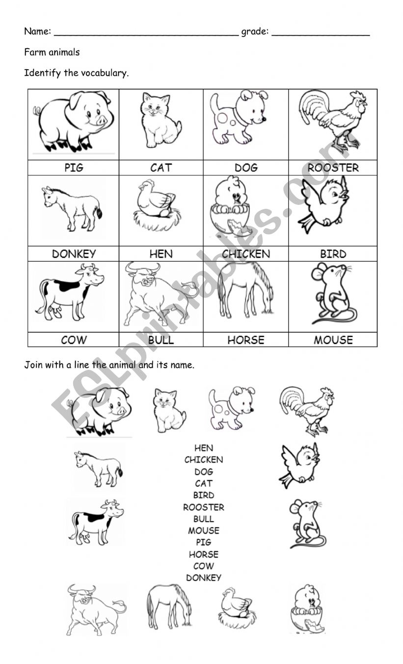Animals worksheet worksheet