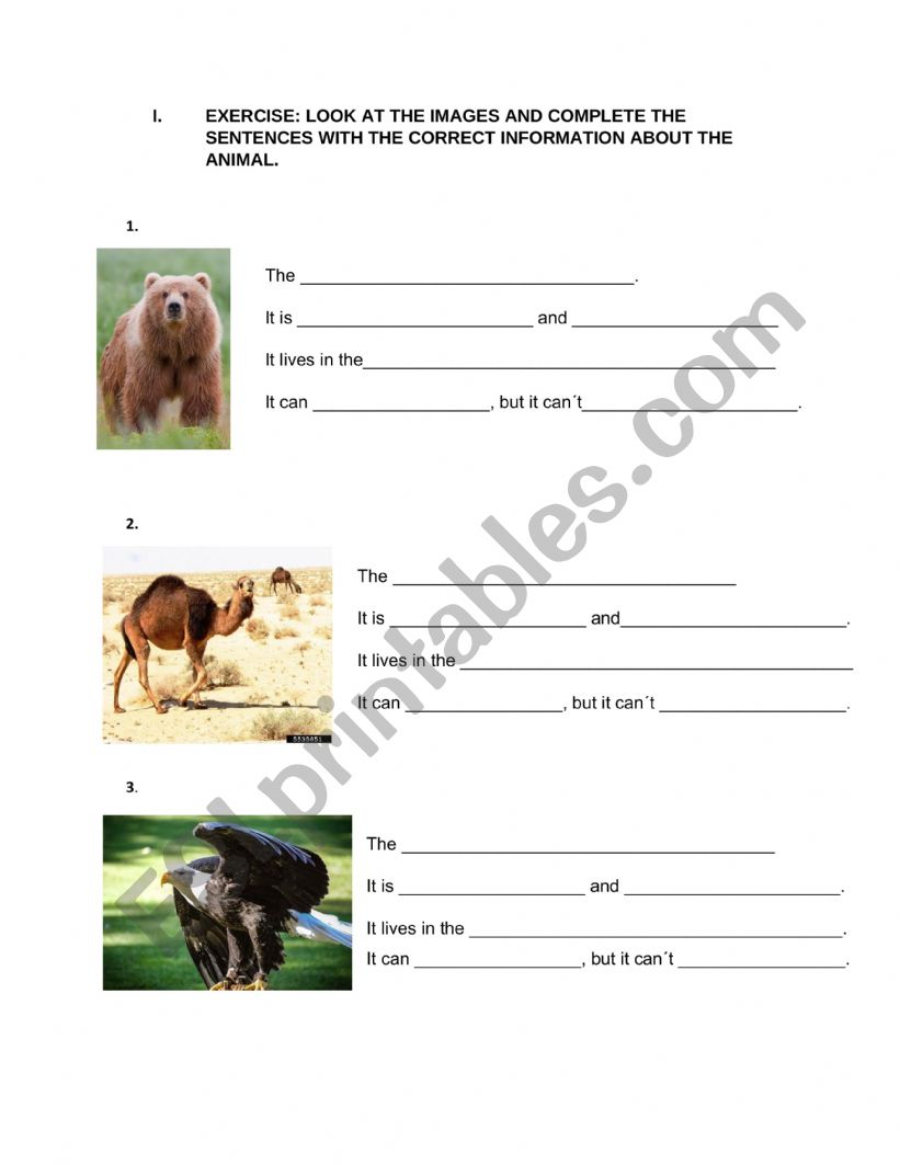 Animal description worksheet