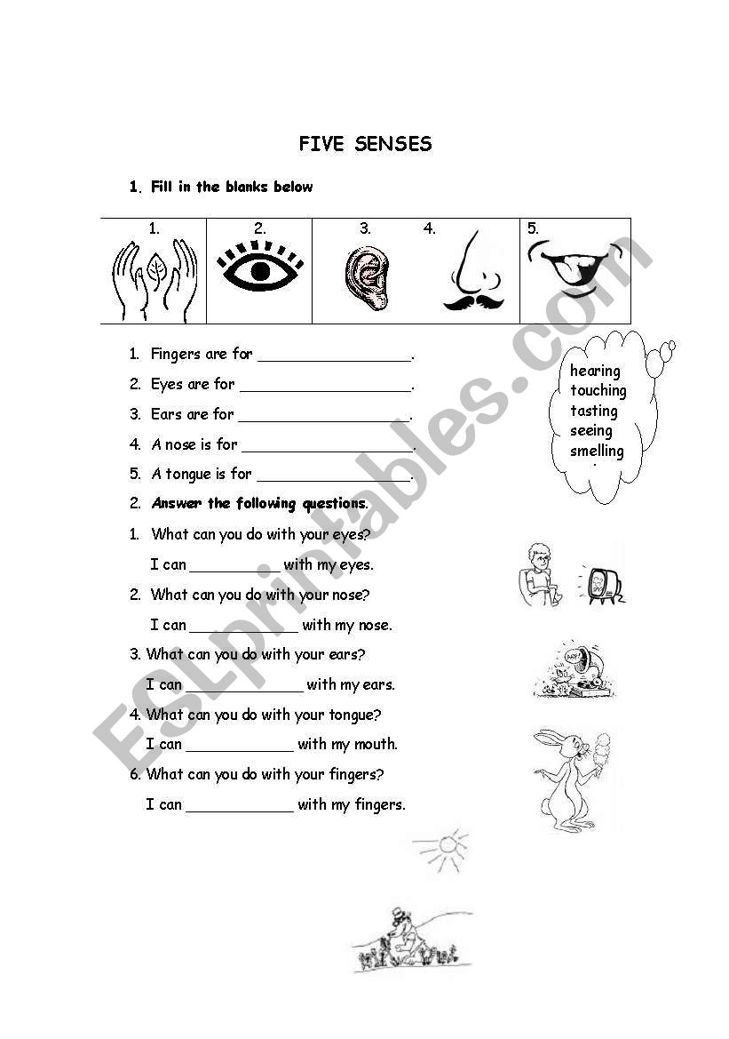 Five Senses worksheet