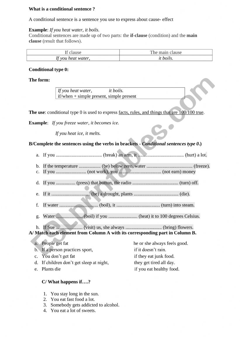 conditional type 0 worksheet