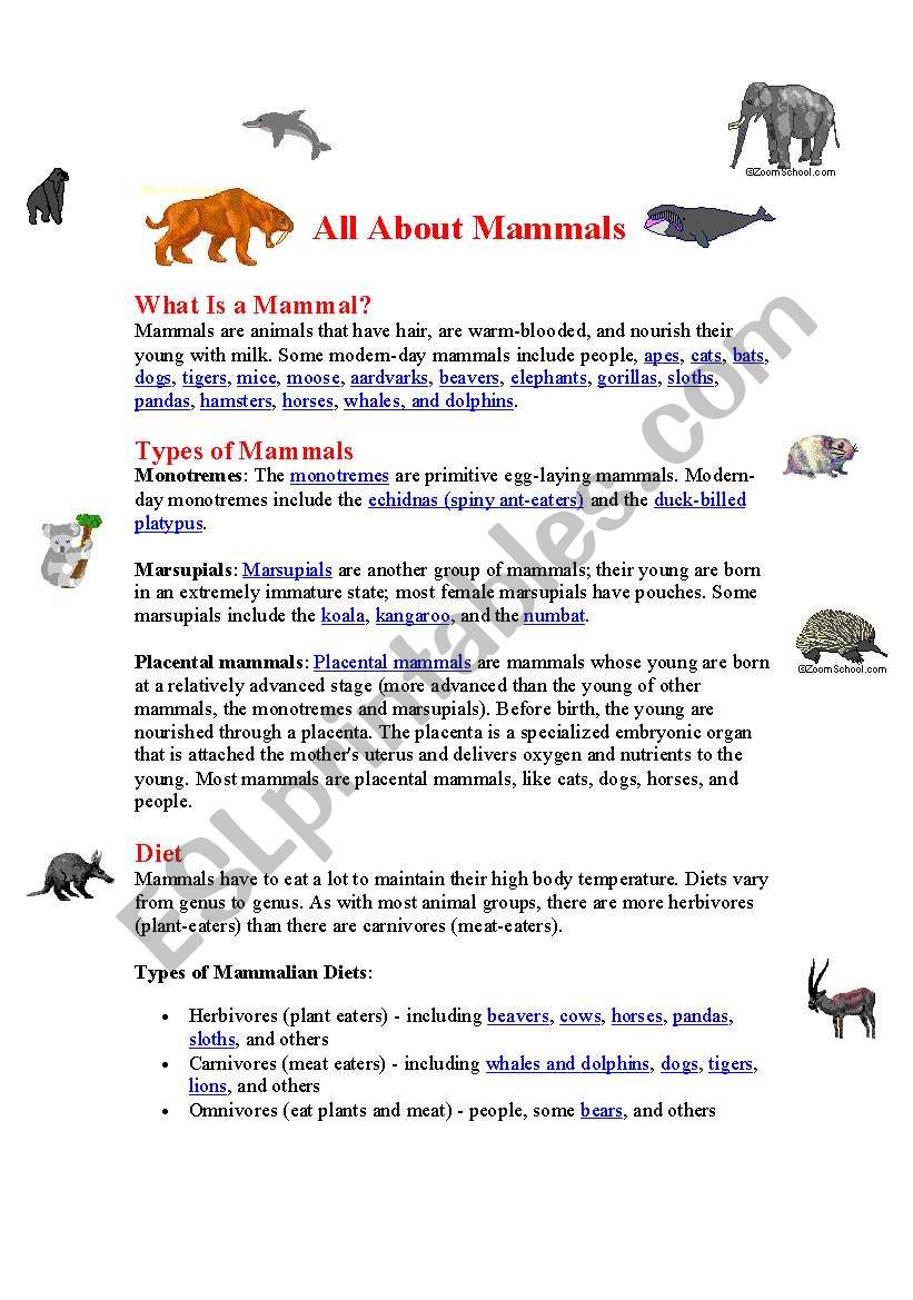 Mammals worksheet