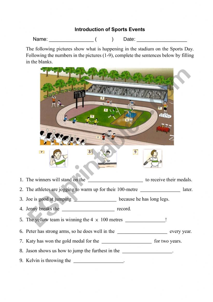 Introduction of sports worksheet